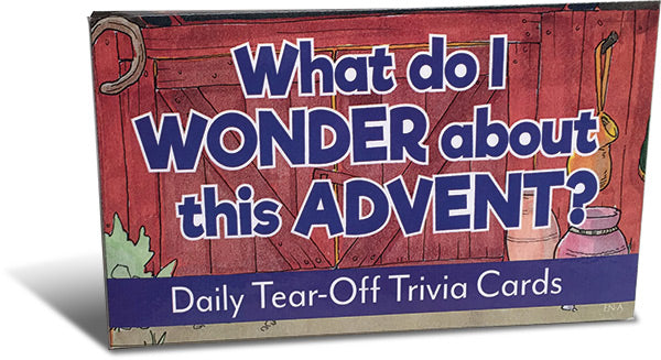 What Do I Wonder This Advent?