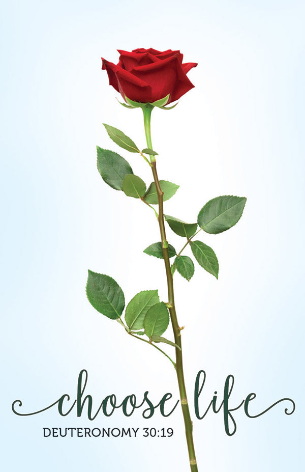 Pro-Life Prayer Prayer Card