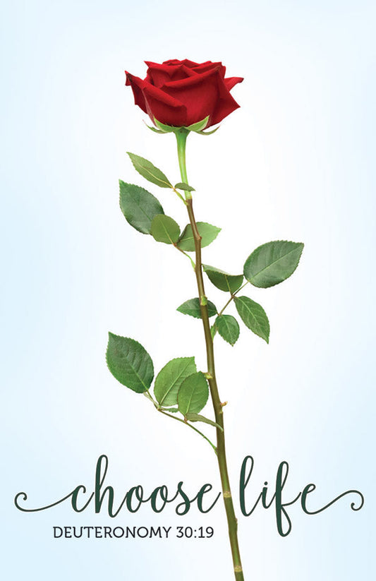 Pro-Life Prayer Prayer Card