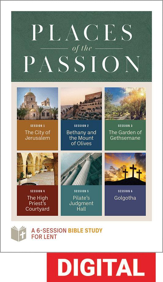 Places Of The Passion - Bible Study Set