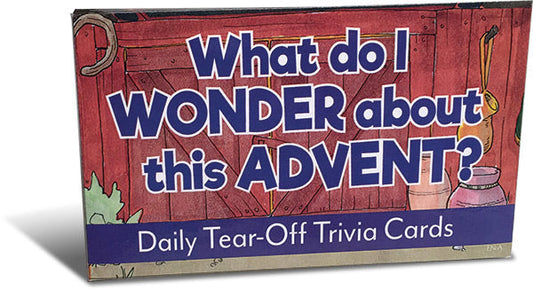 What Do I Wonder This Advent?
