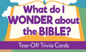 What Do I Wonder About The Bible?